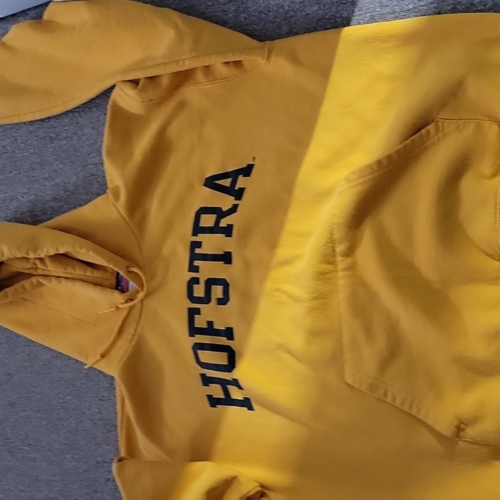 Champion Hofstra University Pullover